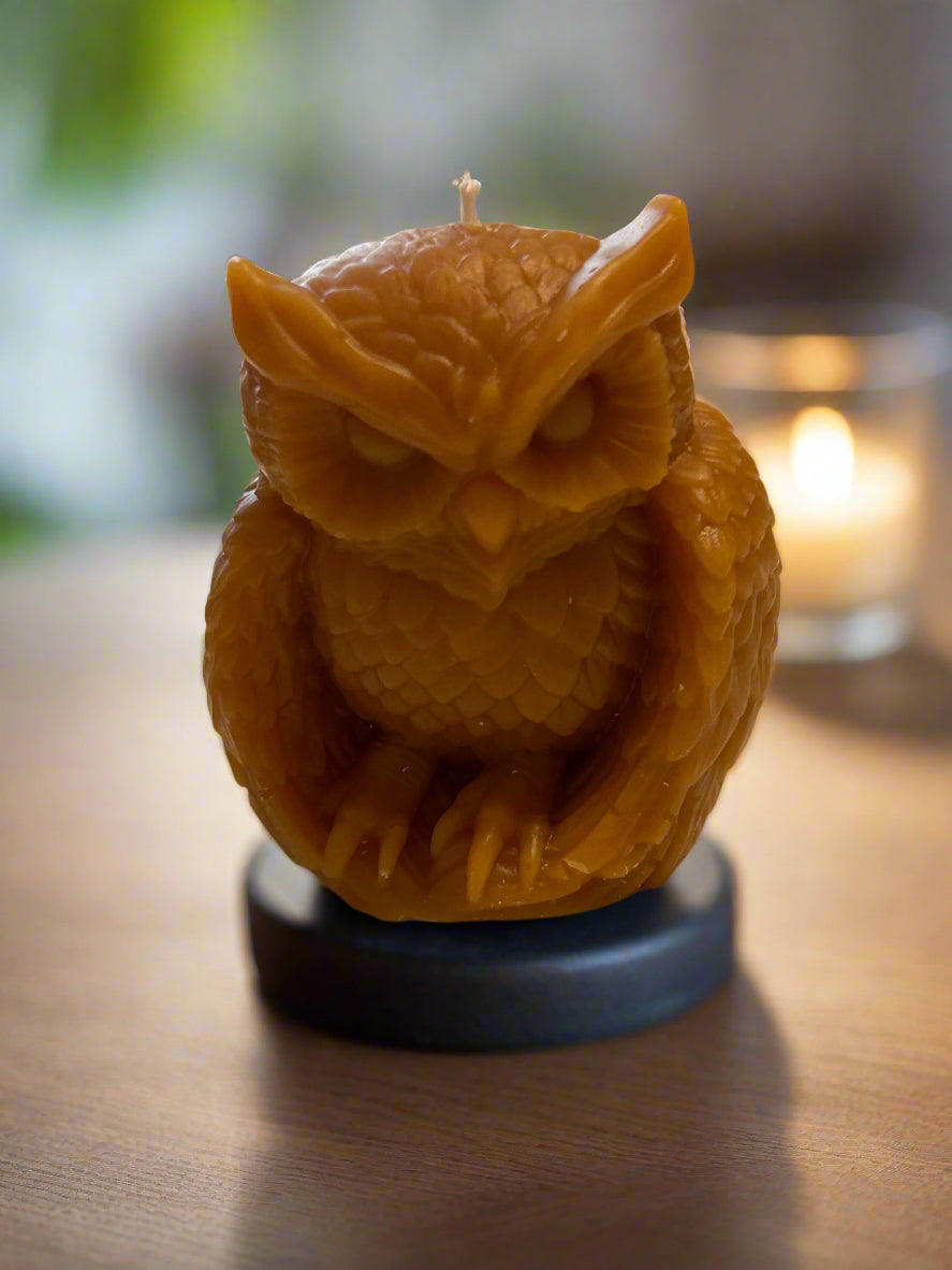 Owl Candle