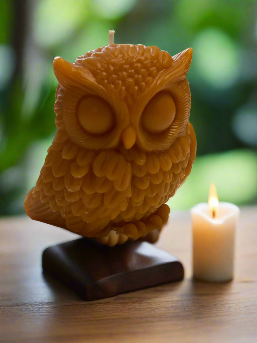 Brown owl-shaped candle 