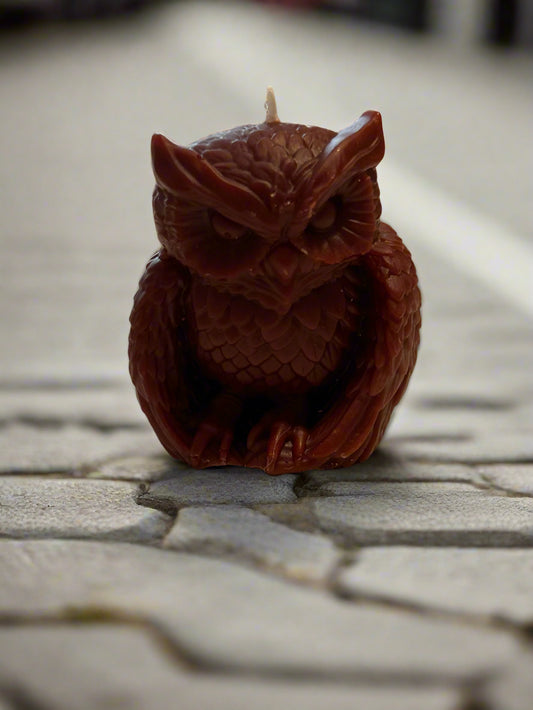 Owl Candle